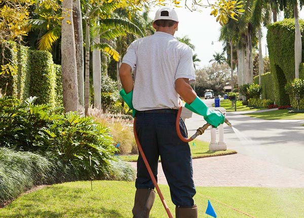 About Linden VA Pest Control